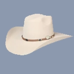 Felt Western Hats